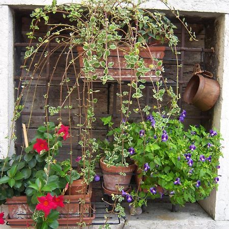 B&B Corte Barbieri Dolcè Dış mekan fotoğraf